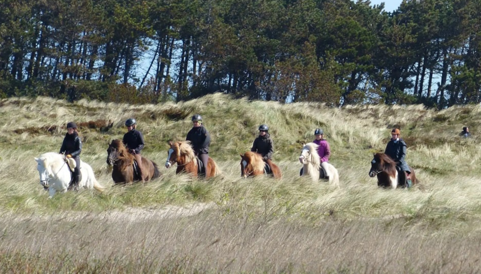 Rømø Lege- &amp; Labyrintpark, Rømø, Denmark